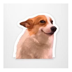 Smirking Corgi w/ Side-Eye Sticker