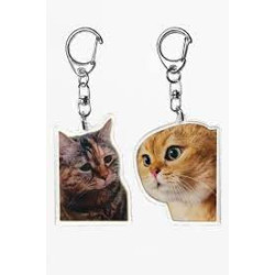 Sad Cat & Mad Cat  Keychains