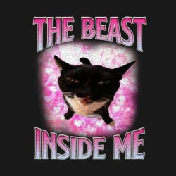 The Beast inside me cat meme t shirt