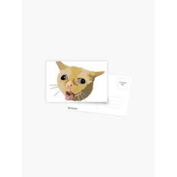 Choking Cat Postcard