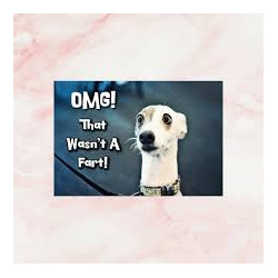 OMG! Postcard
