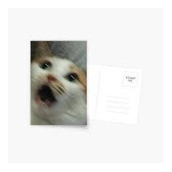 Screaming Cat Postcard