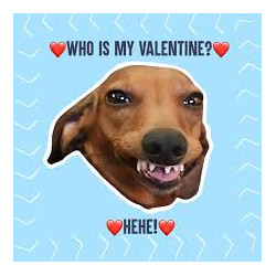 Hehe Dog PostCard